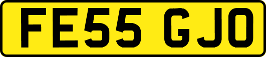 FE55GJO