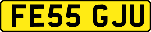 FE55GJU