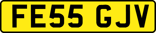 FE55GJV