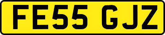 FE55GJZ