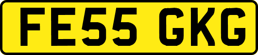 FE55GKG