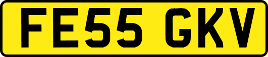 FE55GKV