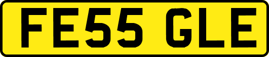 FE55GLE
