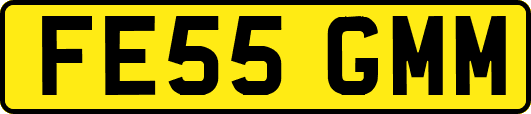 FE55GMM