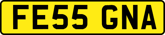FE55GNA