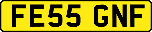 FE55GNF
