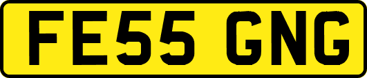 FE55GNG