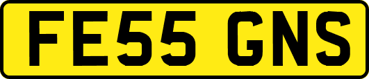 FE55GNS