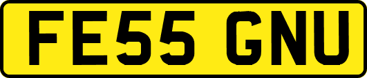 FE55GNU