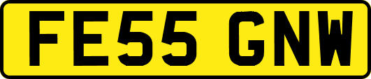 FE55GNW