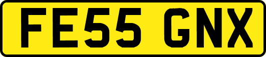 FE55GNX
