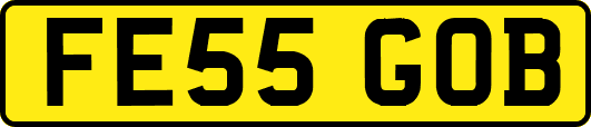 FE55GOB