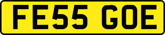 FE55GOE