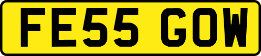 FE55GOW