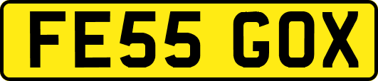 FE55GOX