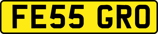 FE55GRO