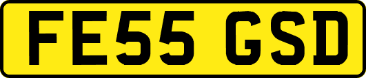 FE55GSD