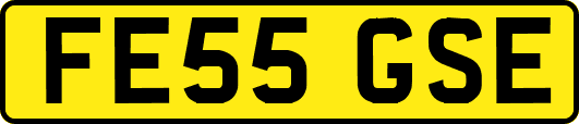 FE55GSE