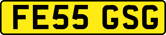 FE55GSG
