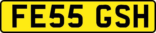 FE55GSH