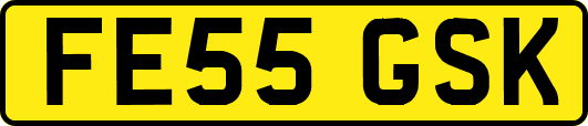 FE55GSK