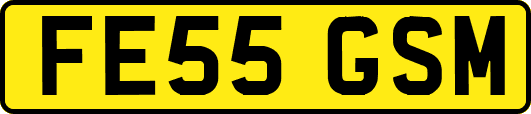 FE55GSM