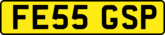 FE55GSP