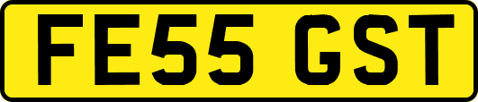 FE55GST