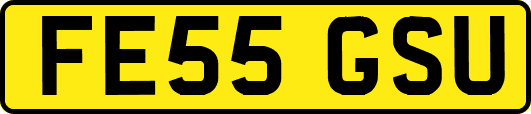FE55GSU