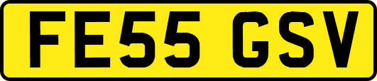FE55GSV