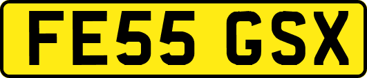FE55GSX