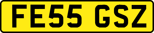 FE55GSZ