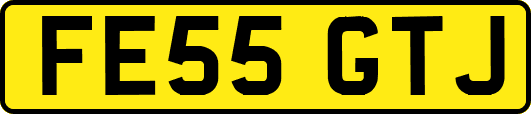 FE55GTJ