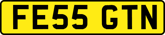 FE55GTN