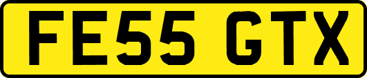 FE55GTX