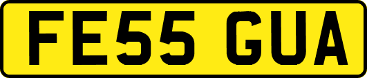 FE55GUA