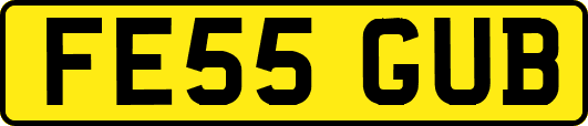 FE55GUB