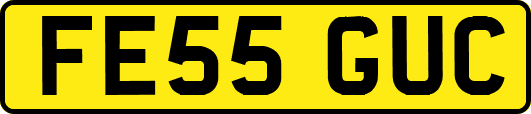 FE55GUC