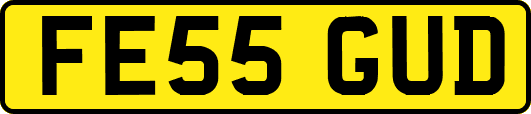 FE55GUD