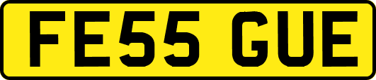 FE55GUE