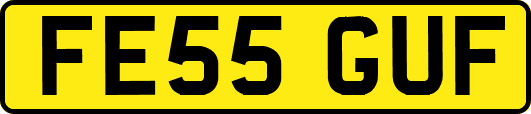 FE55GUF