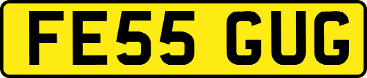 FE55GUG