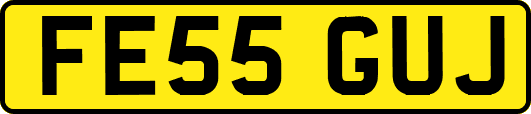 FE55GUJ