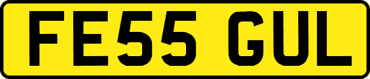 FE55GUL
