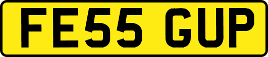 FE55GUP