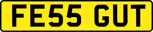 FE55GUT