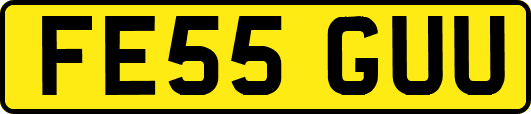 FE55GUU