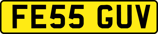 FE55GUV