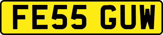 FE55GUW