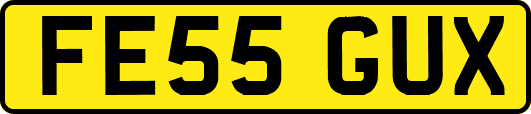 FE55GUX